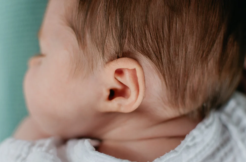 Close up of little newborn ear