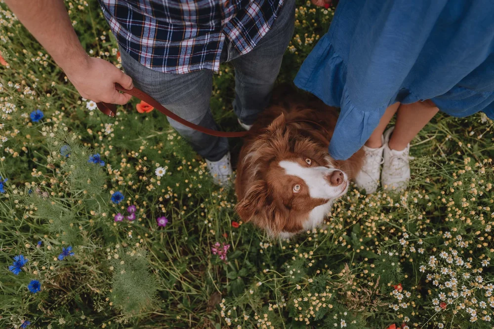 Family Photoshoot in Haarlem/Amsterdam by Vicky McLachlan Photography_best7