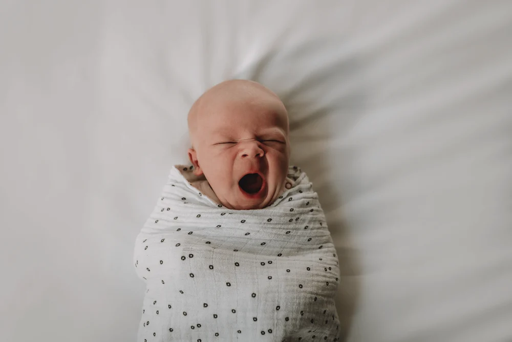 Newborn photoshoot in Amsterdam | Thisdell Family